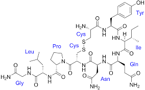 Oxytocin for sale