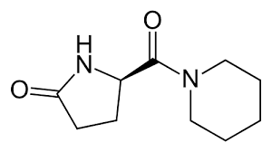 Fasoracetam